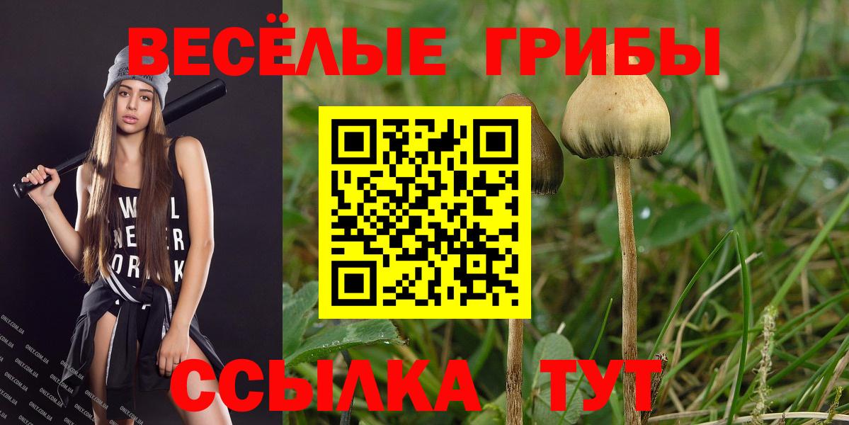 Псилоцибиновые грибы Psilocybine cubensis  Вход с VPN  Элиста 